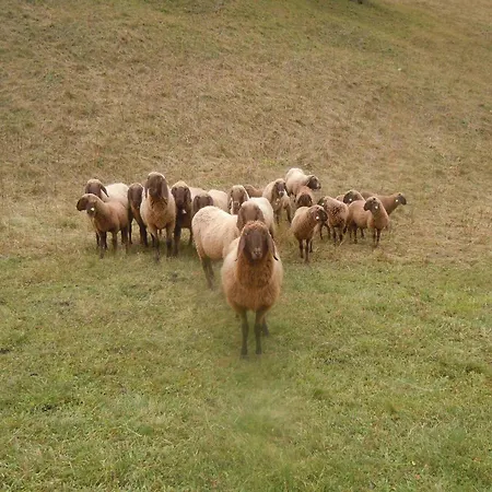 Rimmlstube & Rimmlhof Берванг