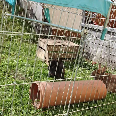 Rimmlstube & Rimmlhof Гостевой дом Берванг