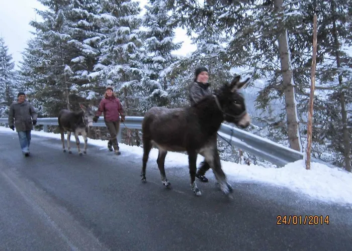 게스트하우스 Rimmlstube & Rimmlhof 베르왕