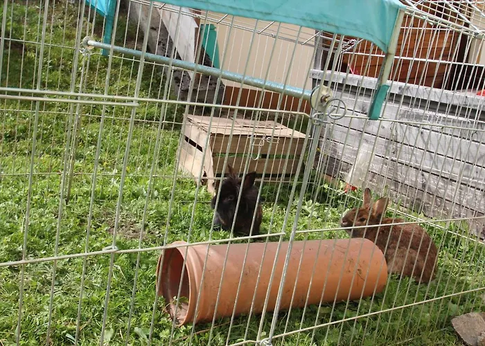 Rimmlstube & Rimmlhof 게스트하우스 베르왕