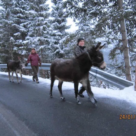 Gasthuis Rimmlstube & Rimmlhof Berwang
